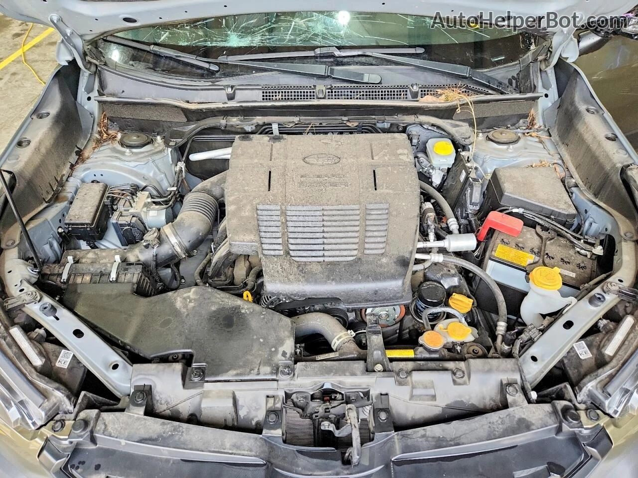 Subaru Forester Wilderness* 30k km* Крайна цена до БГ, снимка 10 - Автомобили и джипове - 55046232