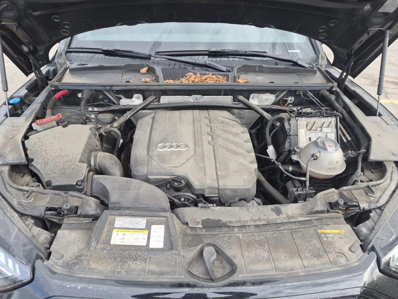 Audi Q5, снимка 17 - Автомобили и джипове - 56683178