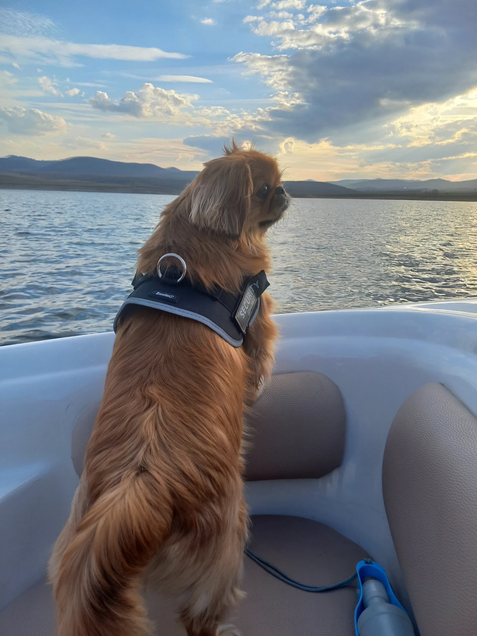 Лодка Saare-Paat, снимка 4 - Воден транспорт - 53758903