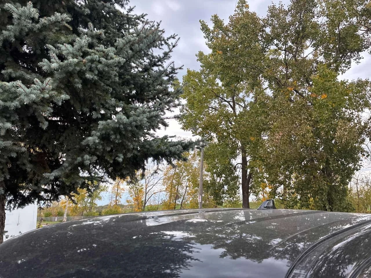 Toyota Tundra * SR * ���������� ��� ������������ ������*  | Mobile.bg � ����������� 17