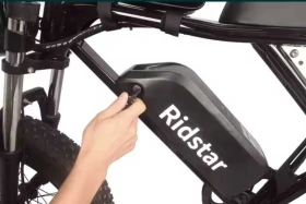  Ridstar | Mobile.bg    3