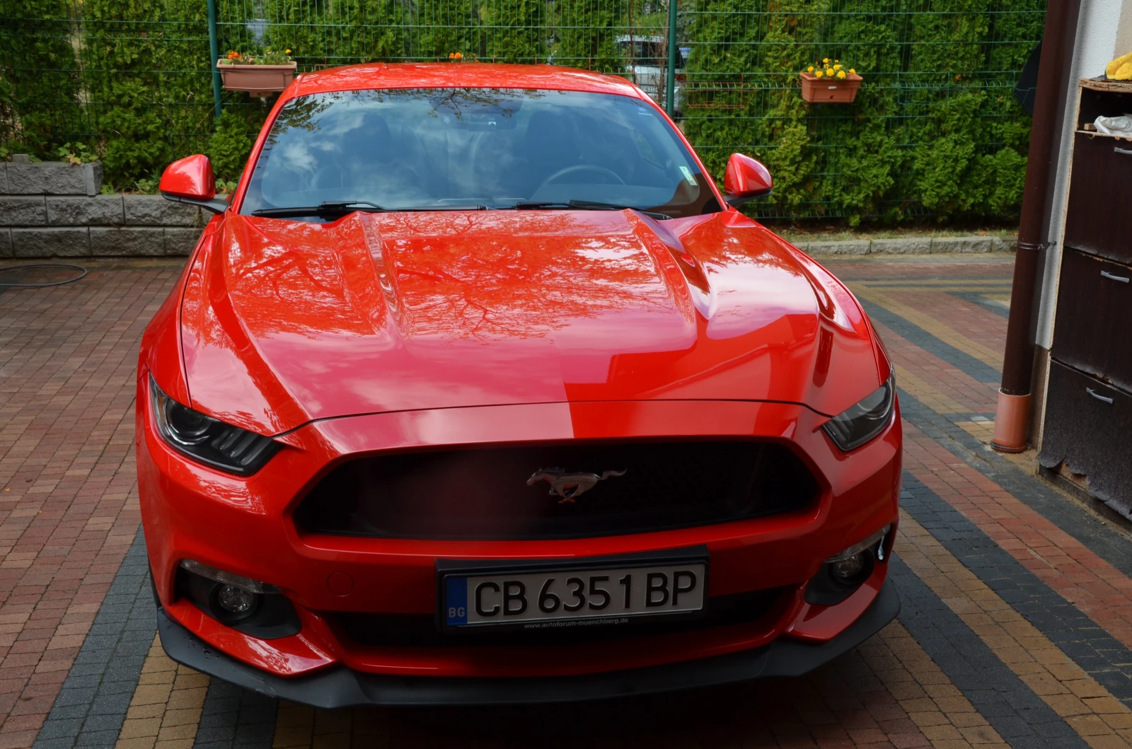 Ford Mustang GT , снимка 11 - Автомобили и джипове - 56270230