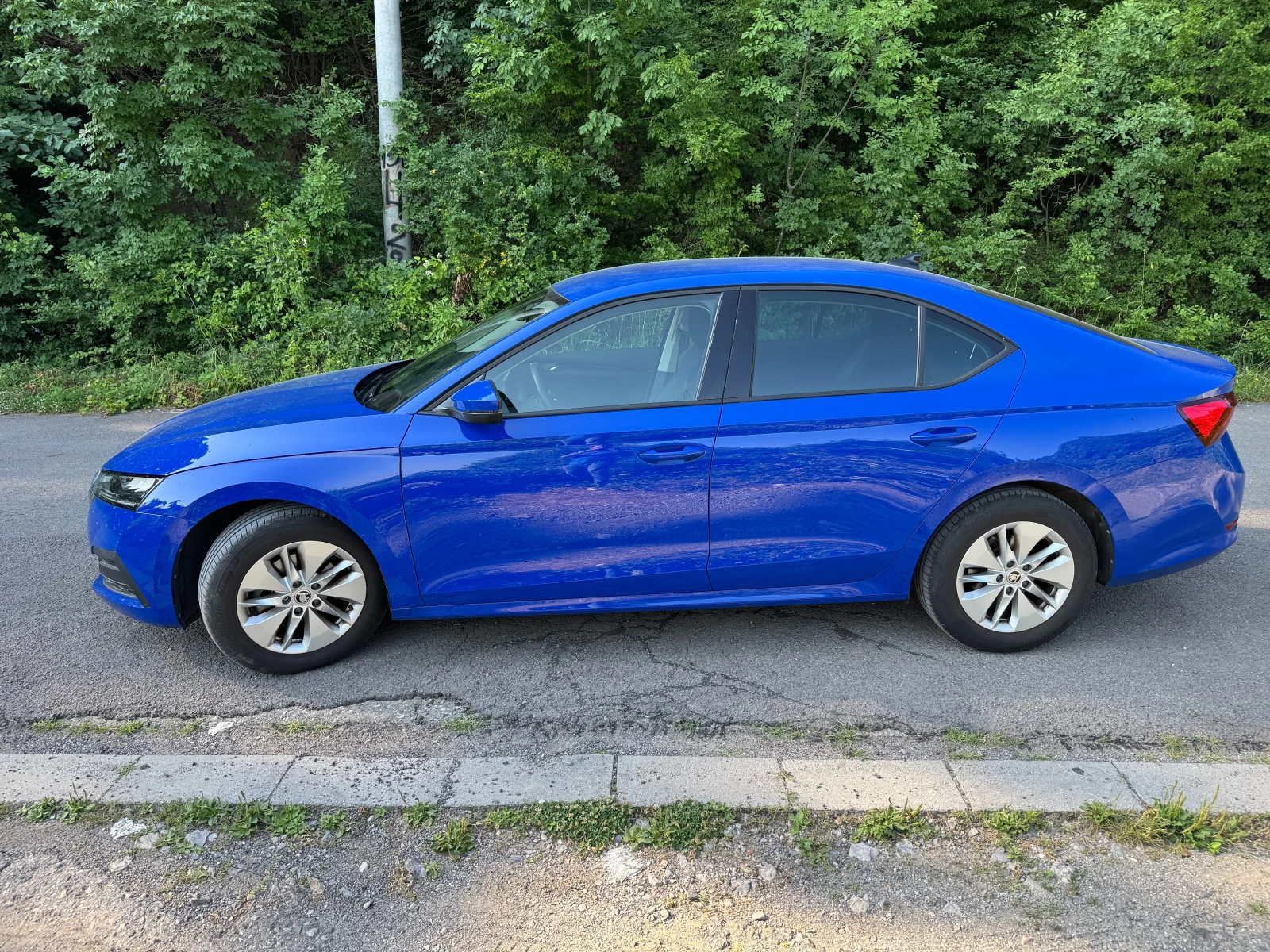 Skoda Octavia 1.5 eTSI / MHEV / 7DSG | Mobile.bg � ����������� 8