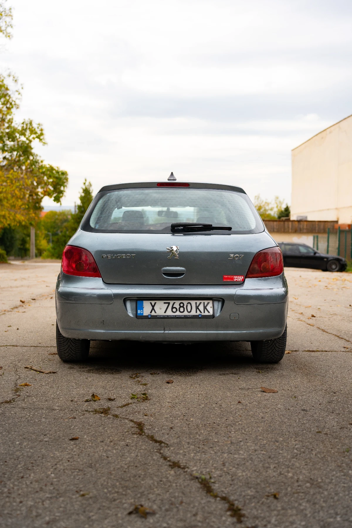 Peugeot 307, снимка 9 - Автомобили и джипове - 56554335