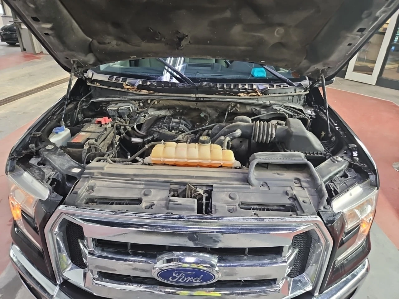 Ford F150 CARFAX*     | Mobile.bg   14