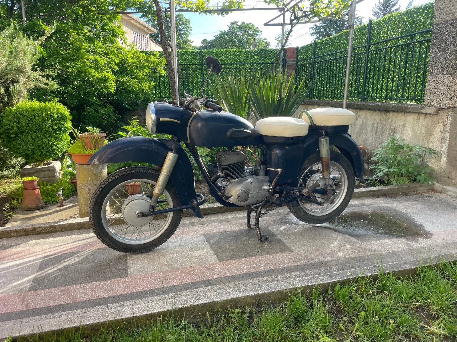 Mz 175