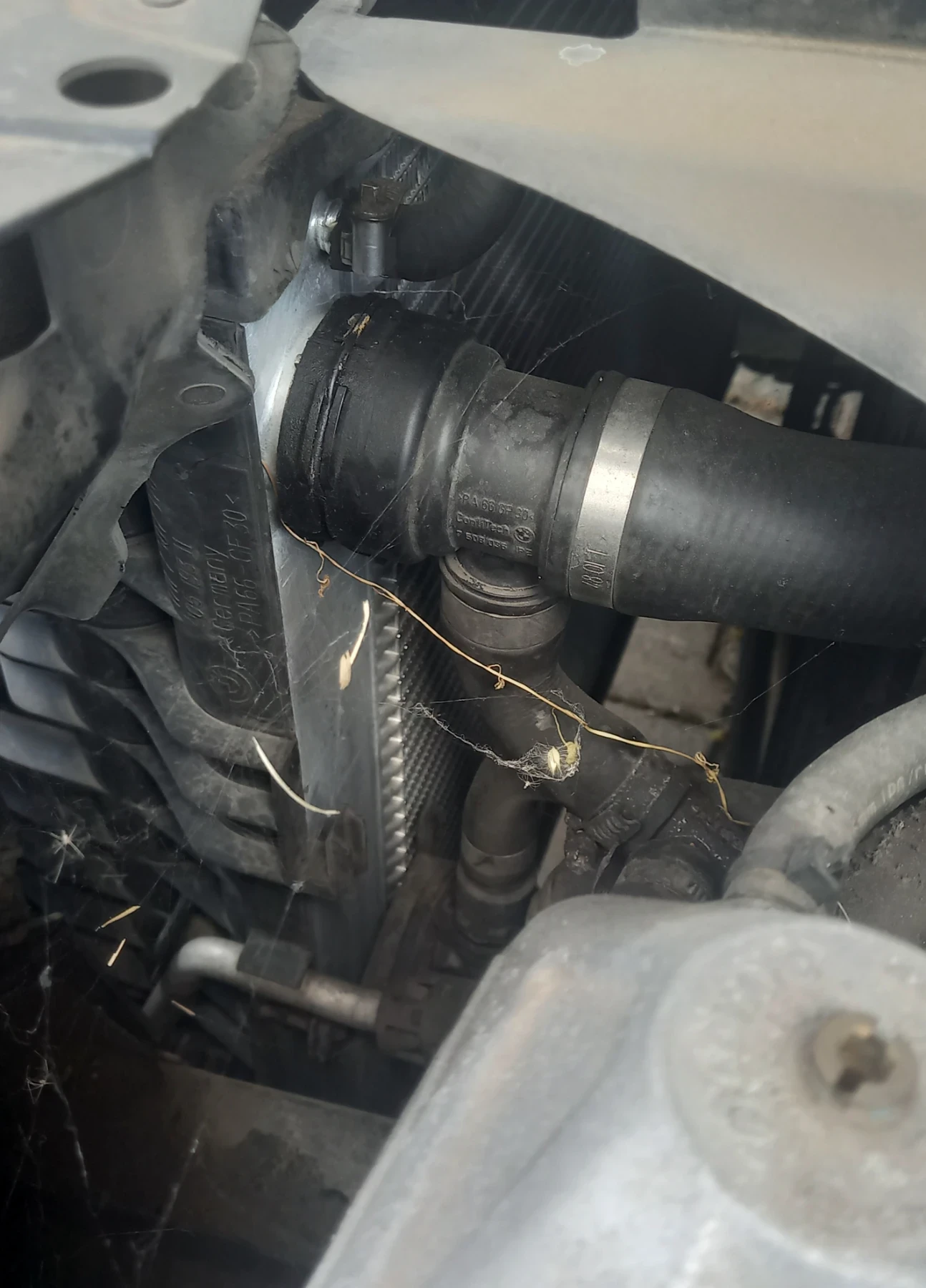 BMW 745 | Mobile.bg � ����������� 15