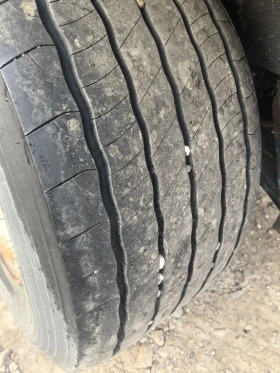        435/50R19.5  