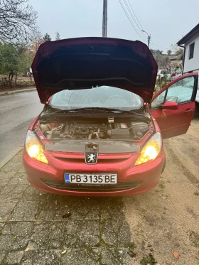     Peugeot 307