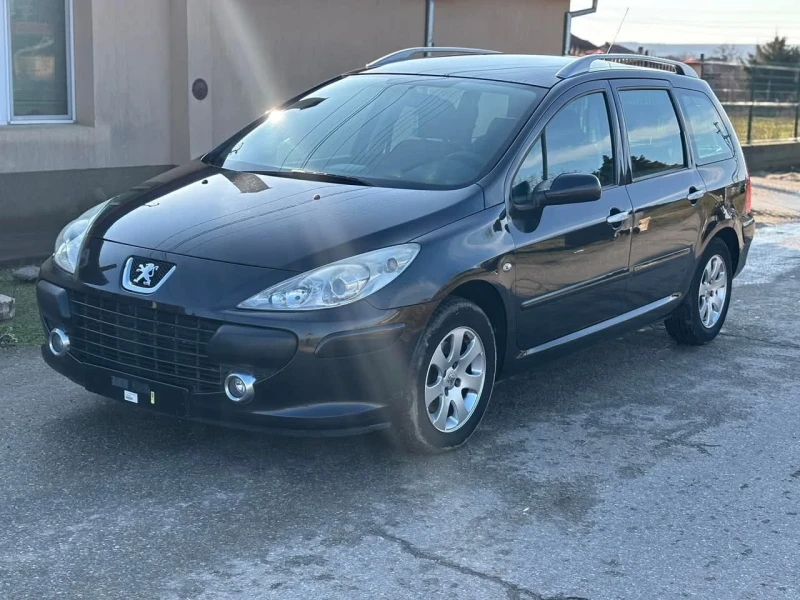 Peugeot 307 1.6i, снимка 1 - Автомобили и джипове - 48547235