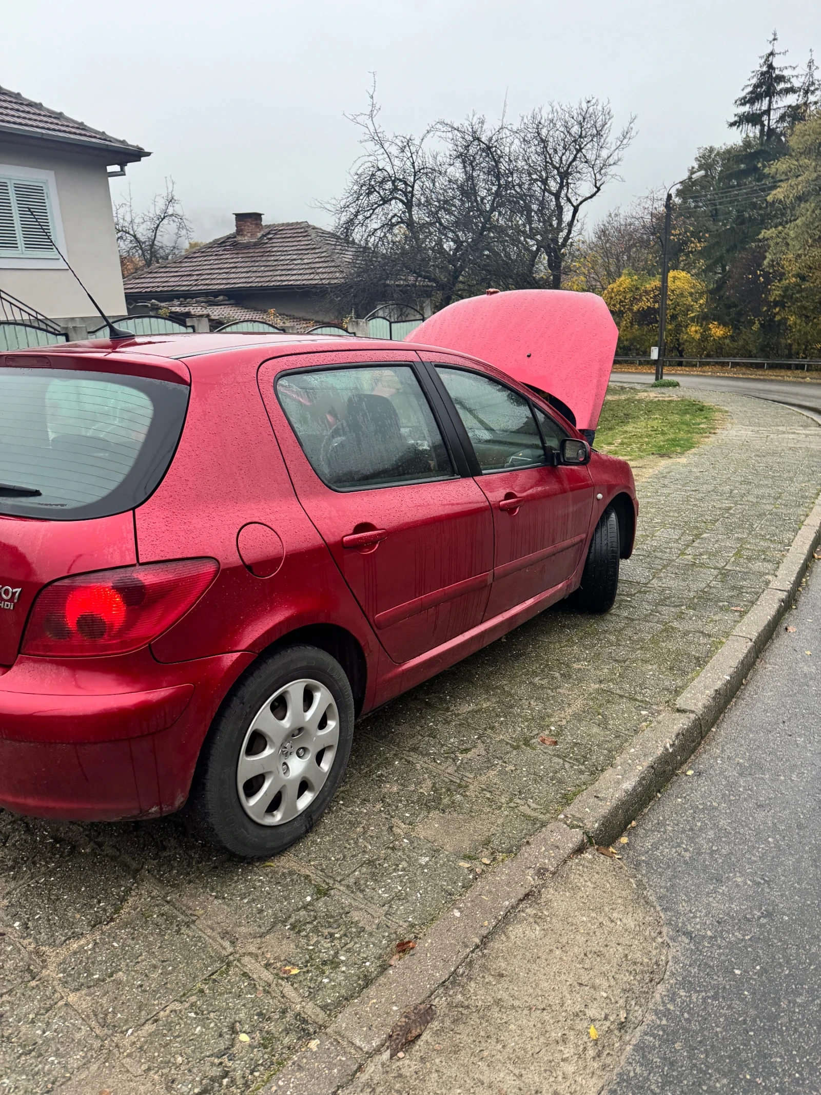 Peugeot 307 | Mobile.bg   7