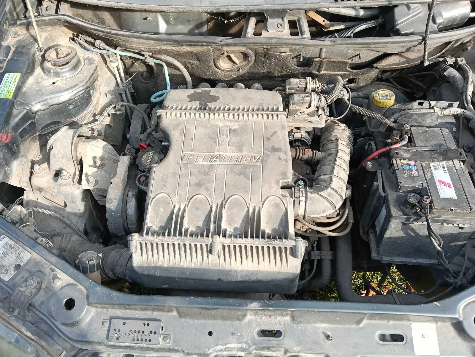 Fiat Punto  - изображение 5