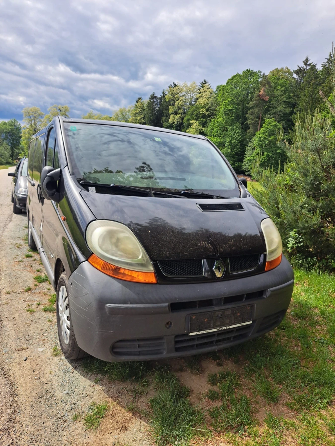 Renault Trafic Очакван внос, снимка 7 - Бусове и автобуси - 54623628