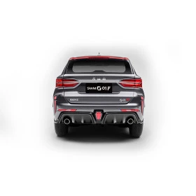 SWM G01 F, снимка 5