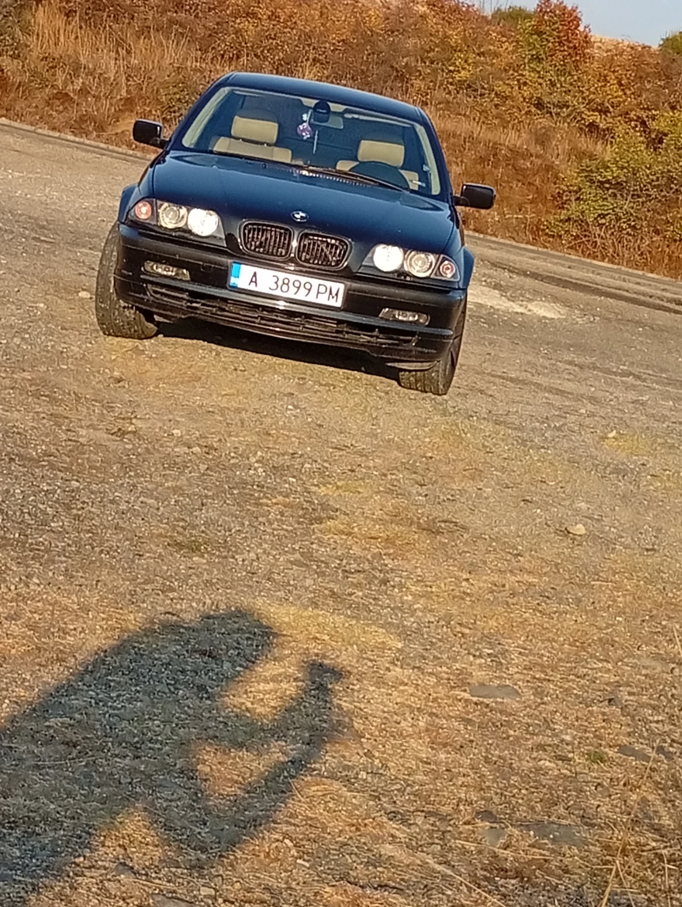BMW 330, снимка 3 - Автомобили и джипове - 54877009