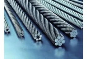 Друг вид Български  - изображение 2