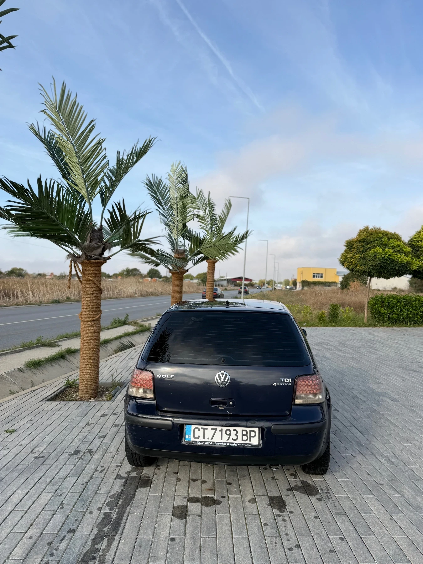 VW Golf Golf 4 TDI 4x4 116+ 130 | Mobile.bg � ����������� 7