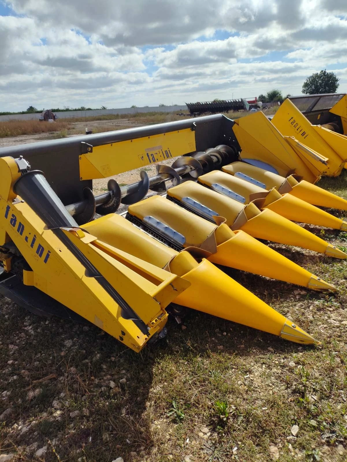 Хедер Fantini, снимка 1