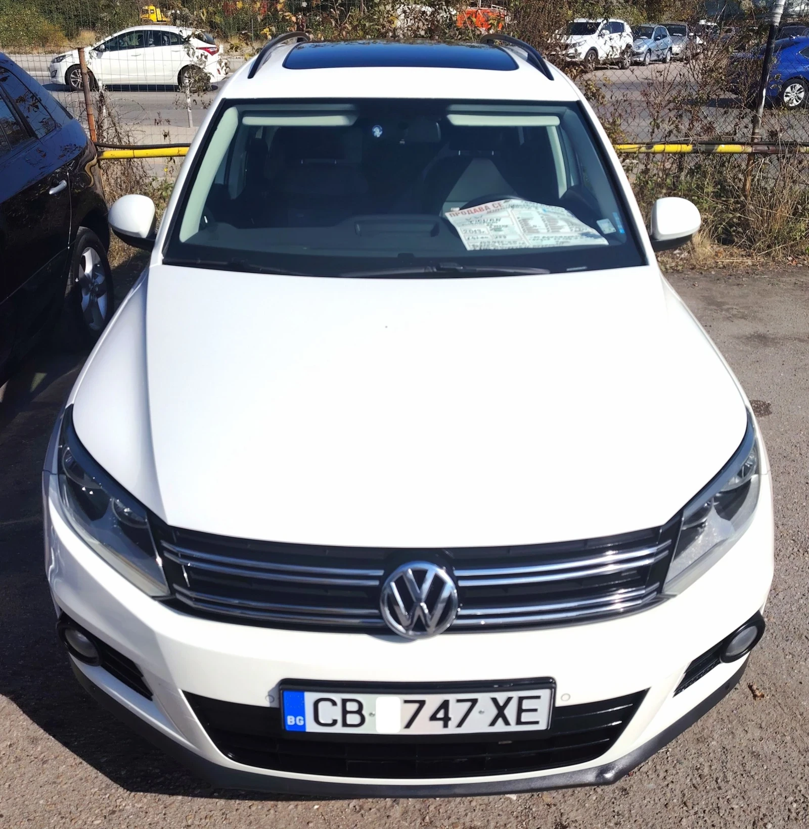 VW Tiguan BLUEMOTION/PANORAMA | Mobile.bg   1