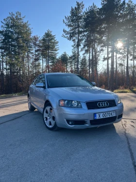 Audi A3 2.0TDI, снимка 1