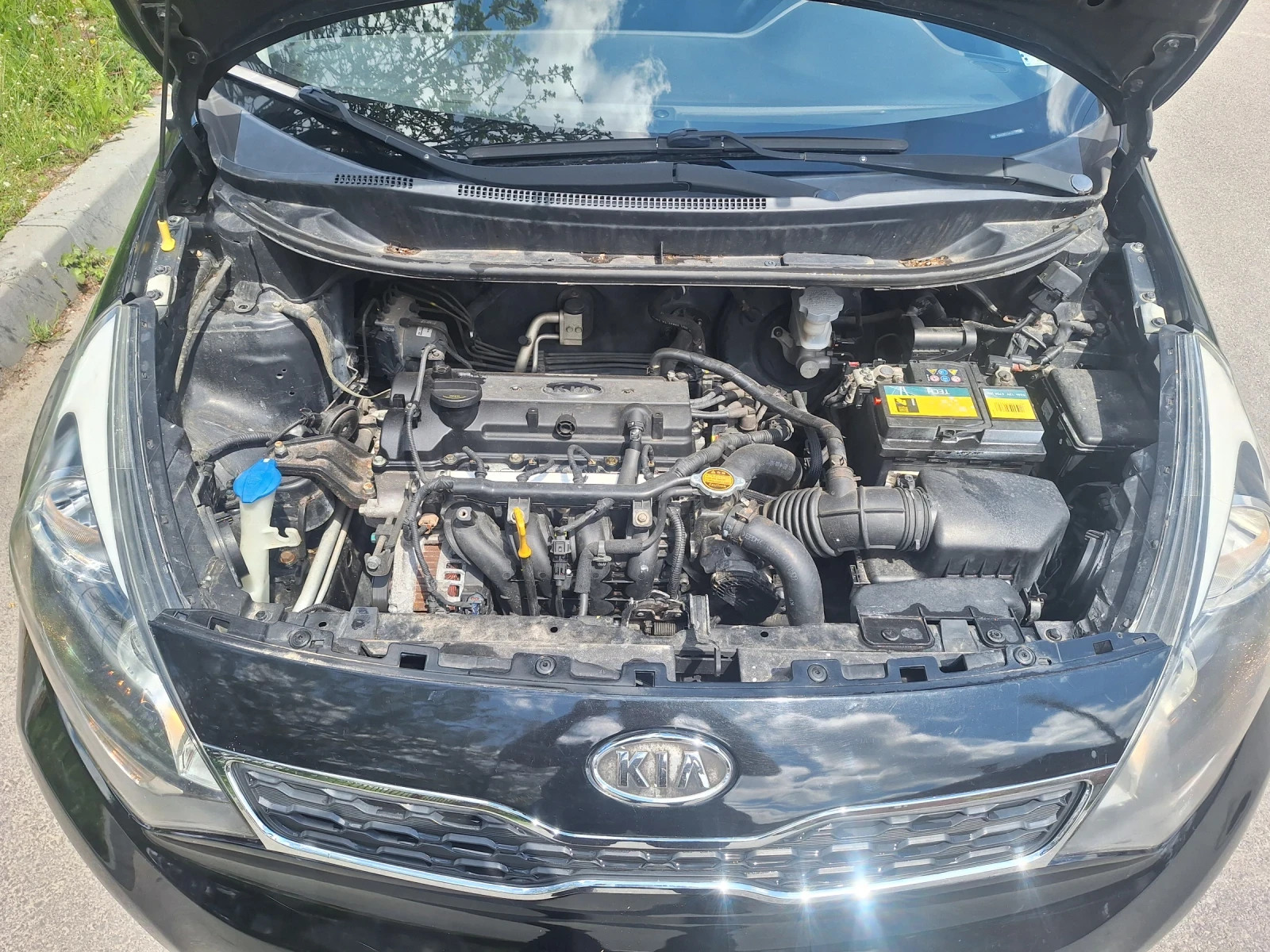 Kia Rio  - изображение 5