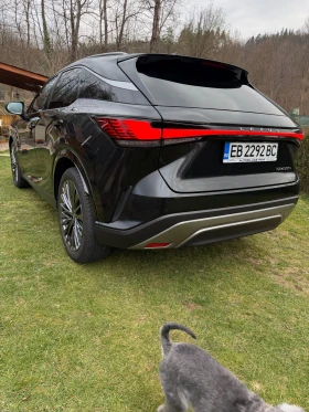 Lexus RX 450h plus Luxury Line В Гаранция - 73888 € / 144512.37 лв. - 71762912 4