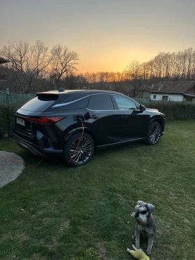 Lexus RX 450h plus Luxury Line В Гаранция - 73888 € / 144512.37 лв. - 71762912 12