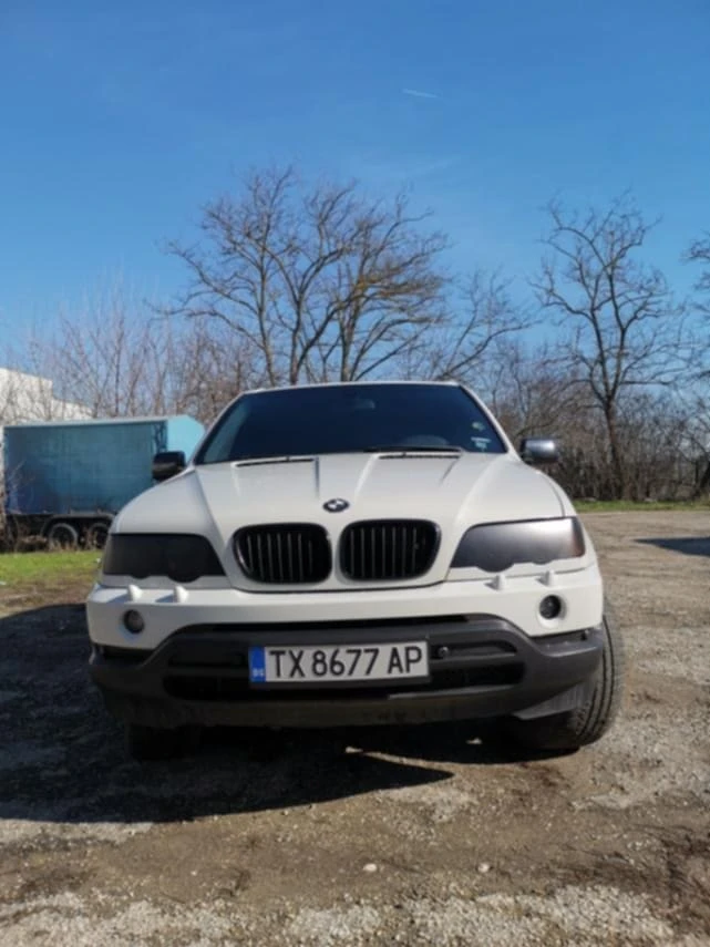 BMW X5 E53, снимка 3 - Автомобили и джипове - 53478660
