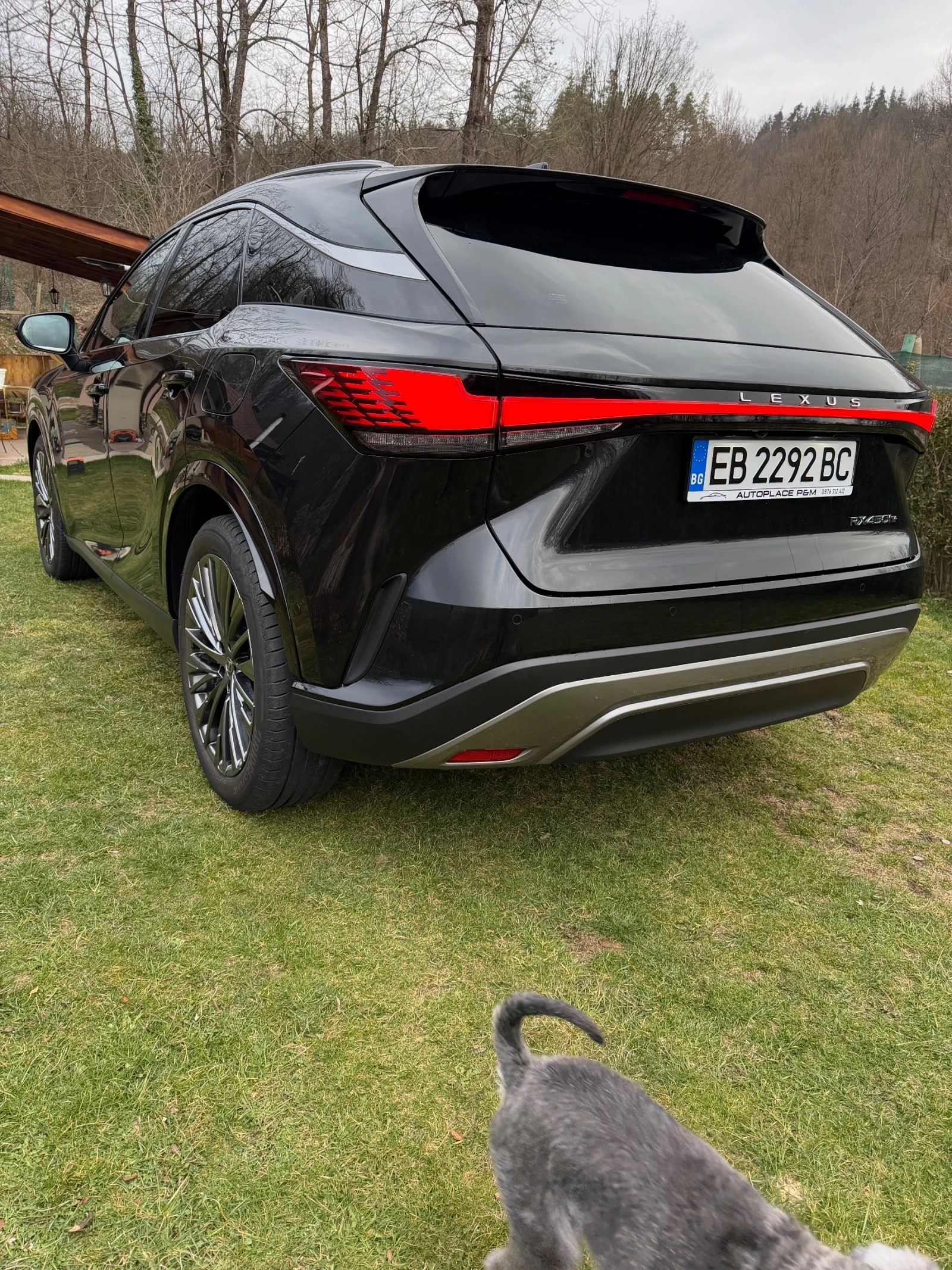 Lexus RX 450h plus Luxury Line В Гаранция, снимка 4 - Автомобили и джипове - 54019028