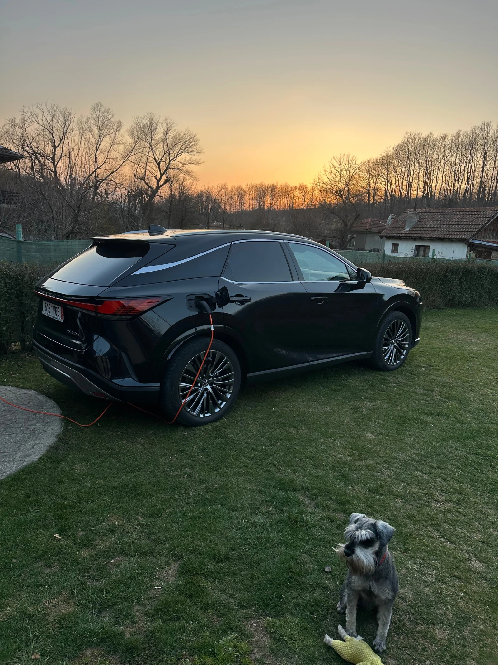 Lexus RX 450h plus Luxury Line В Гаранция, снимка 12 - Автомобили и джипове - 54019028