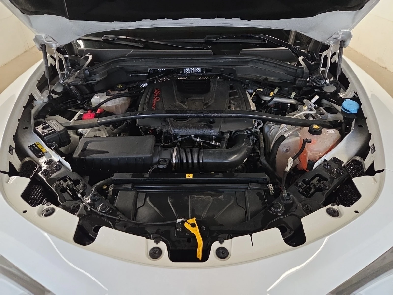 Alfa Romeo Stelvio  VELOCE / CARFAX / DISTRONIC / 2 КЛЮЧА , снимка 16 - Автомобили и джипове - 56103278