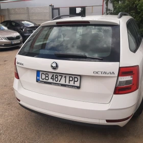 Skoda Octavia 1.6 TDI | Mobile.bg    7