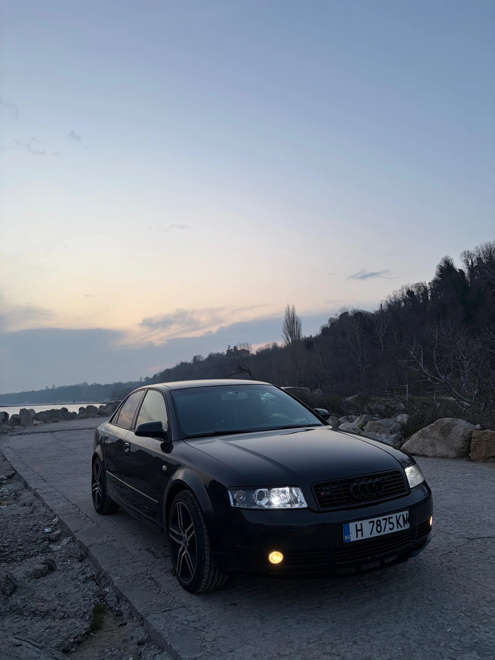 Audi A4 1.9 TDI S-Line, снимка 2 - Автомобили и джипове - 54915844