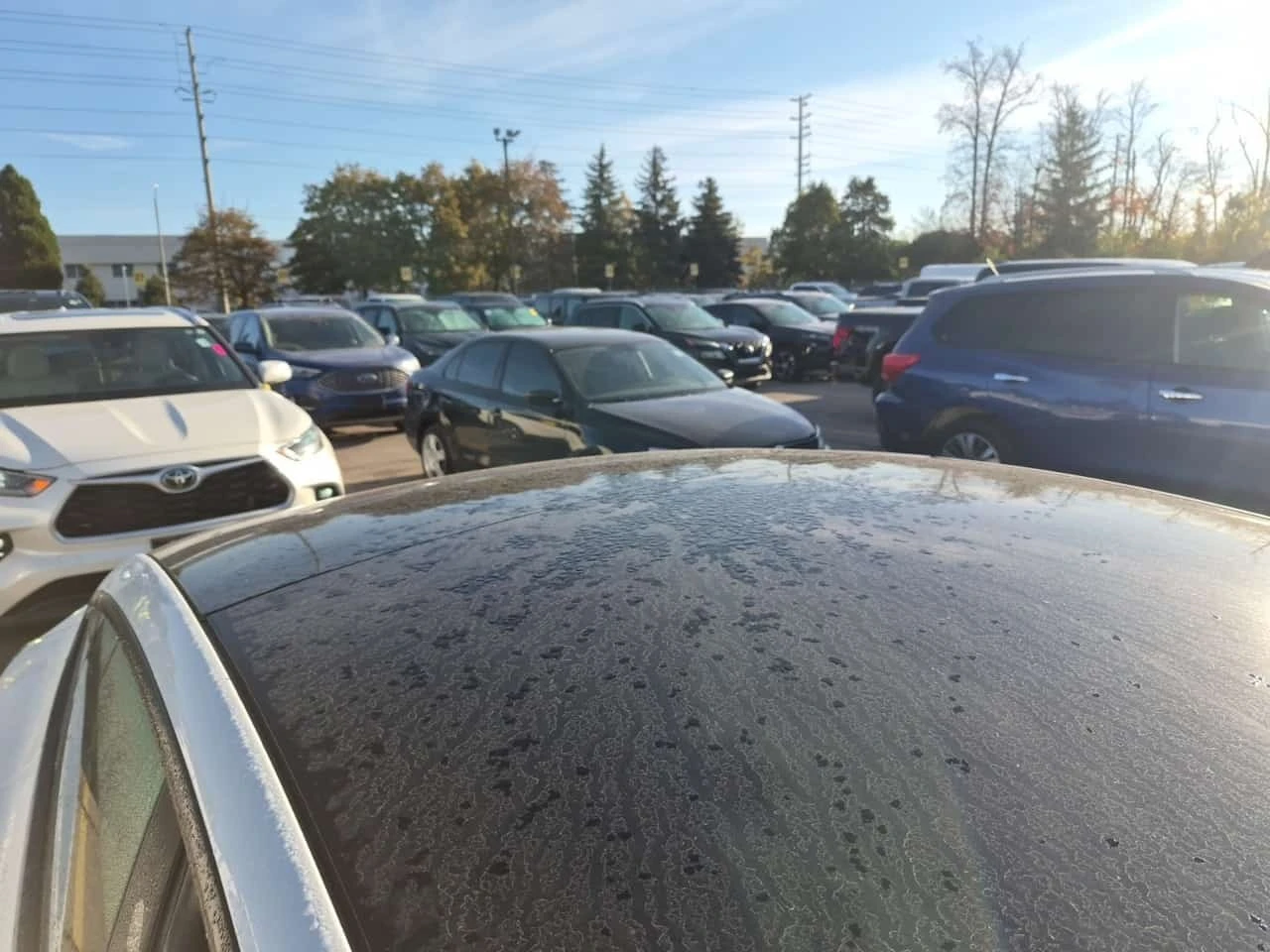 Tesla Model 3 * Awd Long Range * CARFAX * ����������� *  | Mobile.bg � ����������� 6
