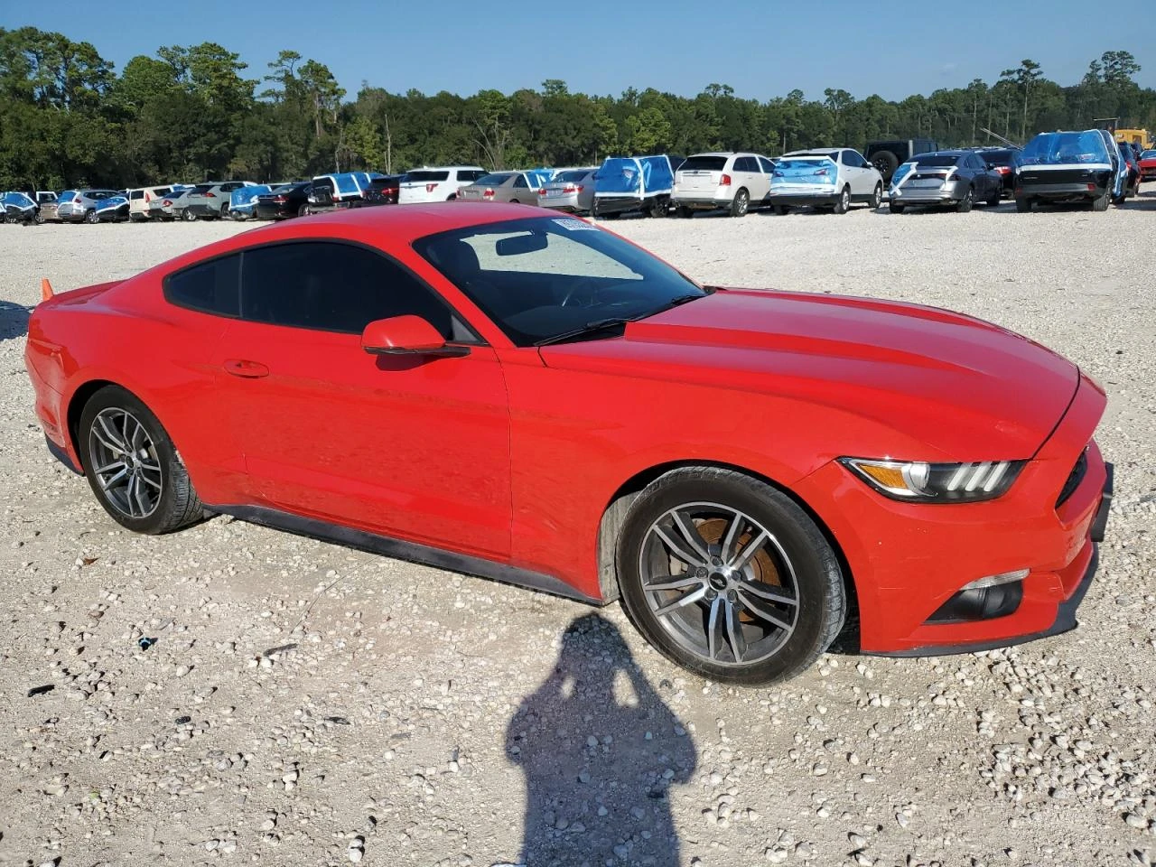 Ford Mustang ECOBOOST* ����* �������* �����* ������ ��������� | Mobile.bg � ����������� 3