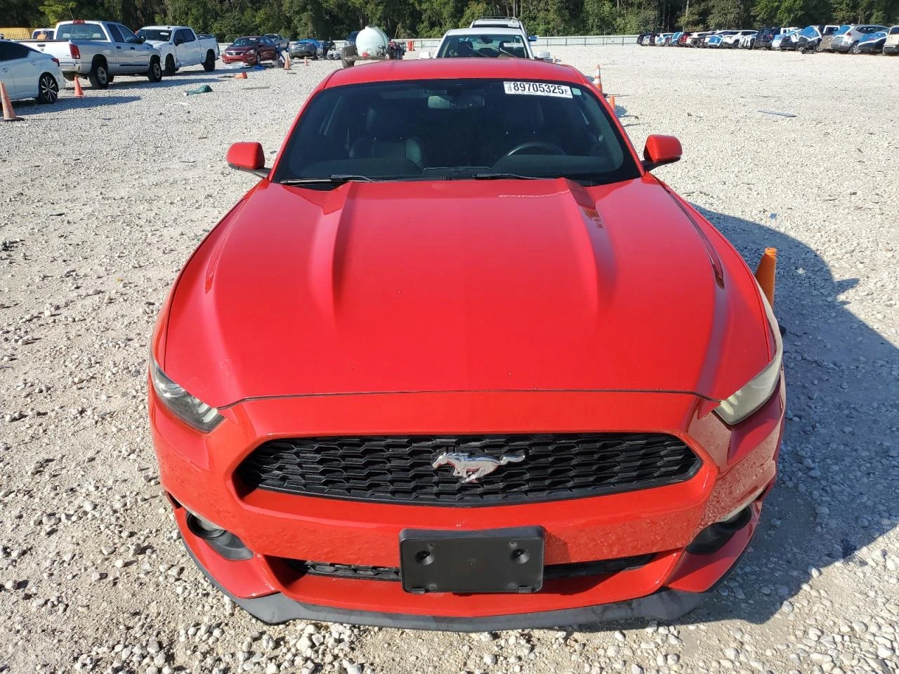 Ford Mustang ECOBOOST* ����* �������* �����* ������ ��������� | Mobile.bg � ����������� 2