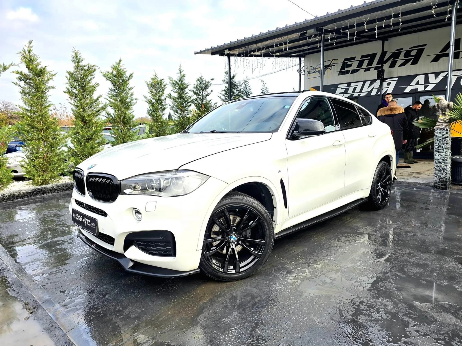 BMW X6 3.0D XDRIVE M50 FULL PACK РЯДКА КОЖА ЛИЗИНГ 100% - изображение 5