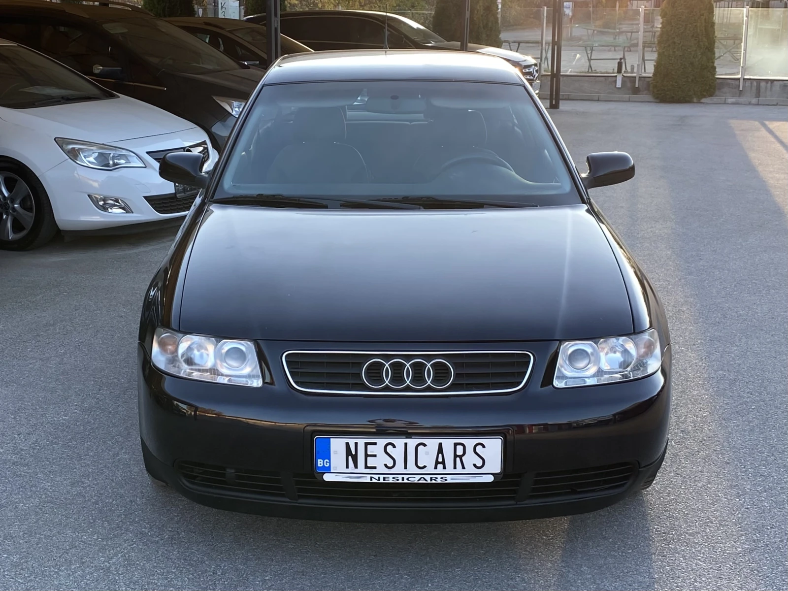 Audi A3 1.9TDI 131к.с. 6-скорости !!!!! FACELIFT !!!!! - изображение 2