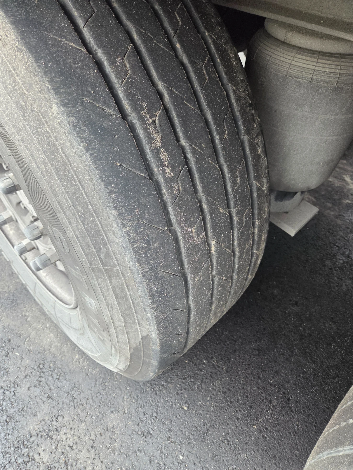 ����������� Schmitz | Mobile.bg � ����������� 5