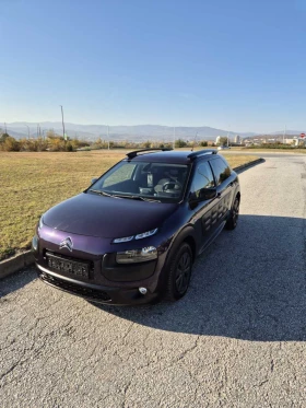 Citroen C4 Cactus Panorama , снимка 3