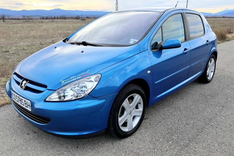 Peugeot 307, снимка 3 - Автомобили и джипове - 48361638