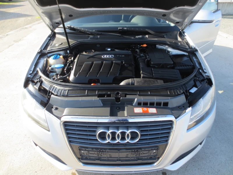 Audi A3 2.0 TDI , снимка 17 - Автомобили и джипове - 52826041
