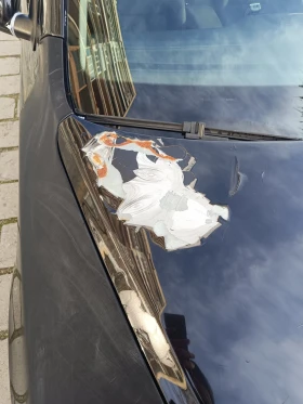 Skoda Octavia, снимка 8