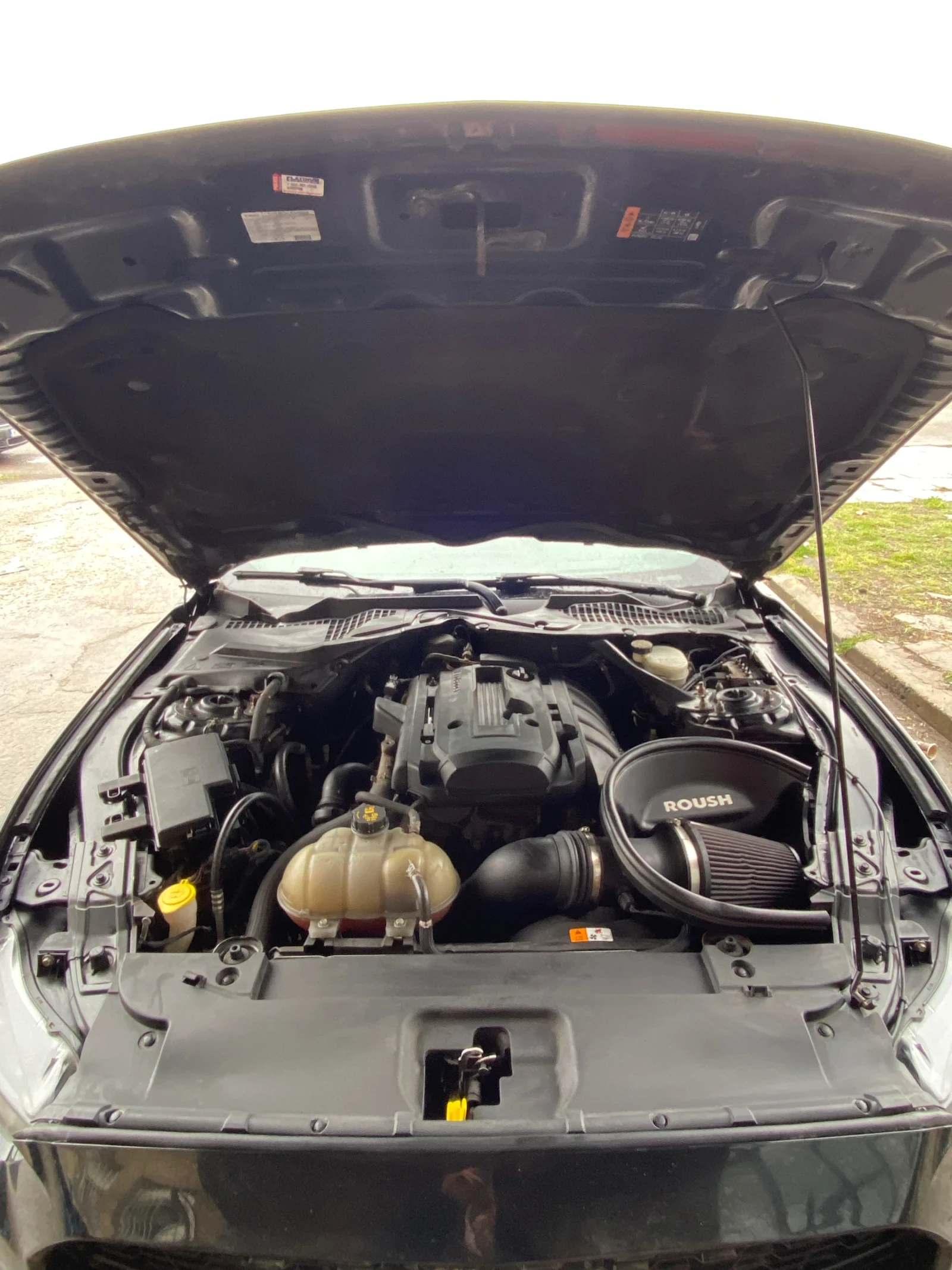 Ford Mustang  - изображение 8