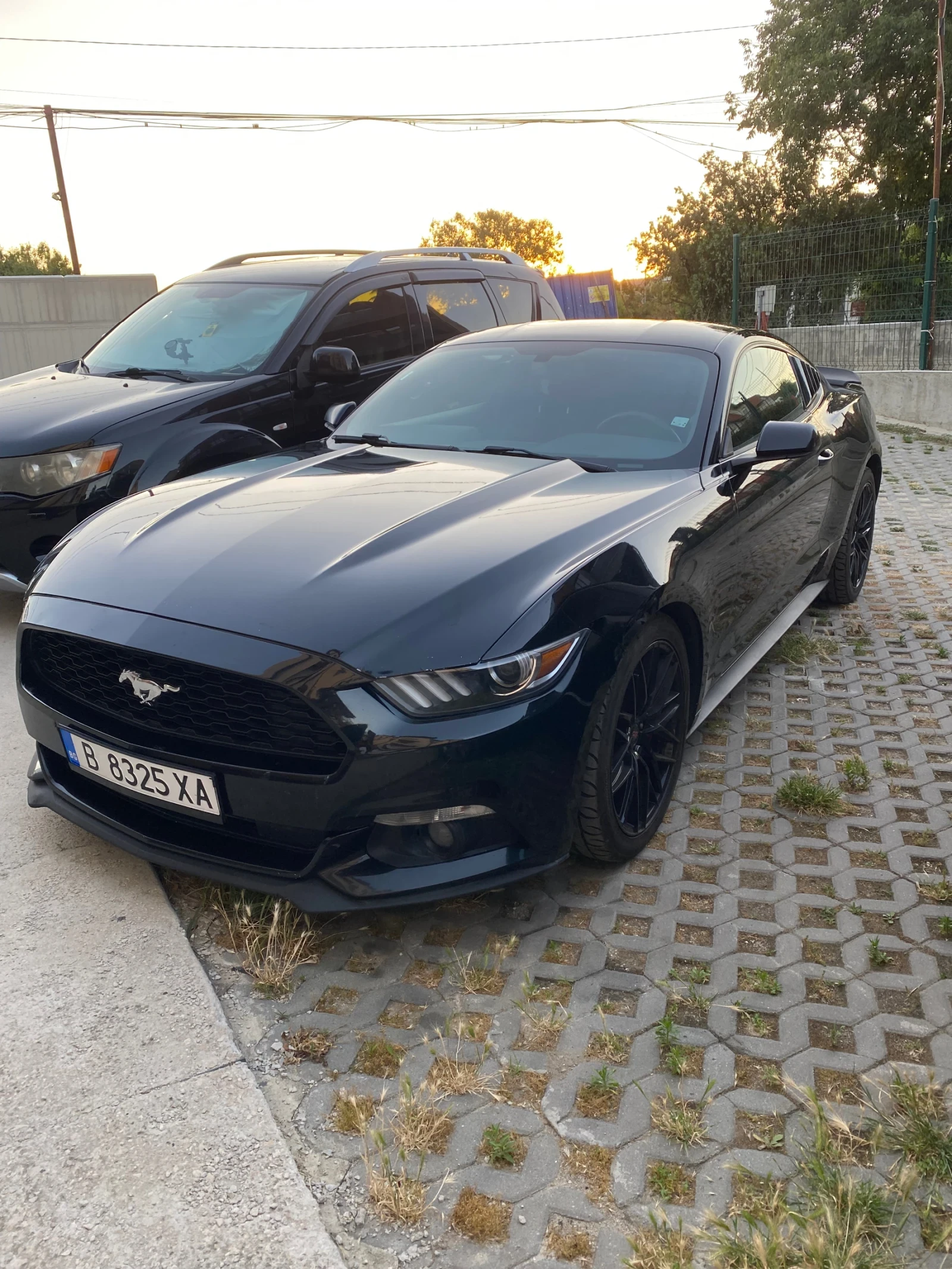 Ford Mustang  - изображение 6