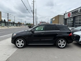 Mercedes-Benz ML 350 * Harman Kardon * CARFAX *  | Mobile.bg    11