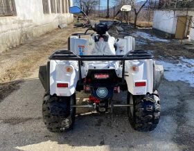 ADLI 300 EcoCharger Dominator, снимка 4