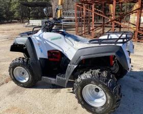 ADLI 300 EcoCharger Dominator, снимка 9