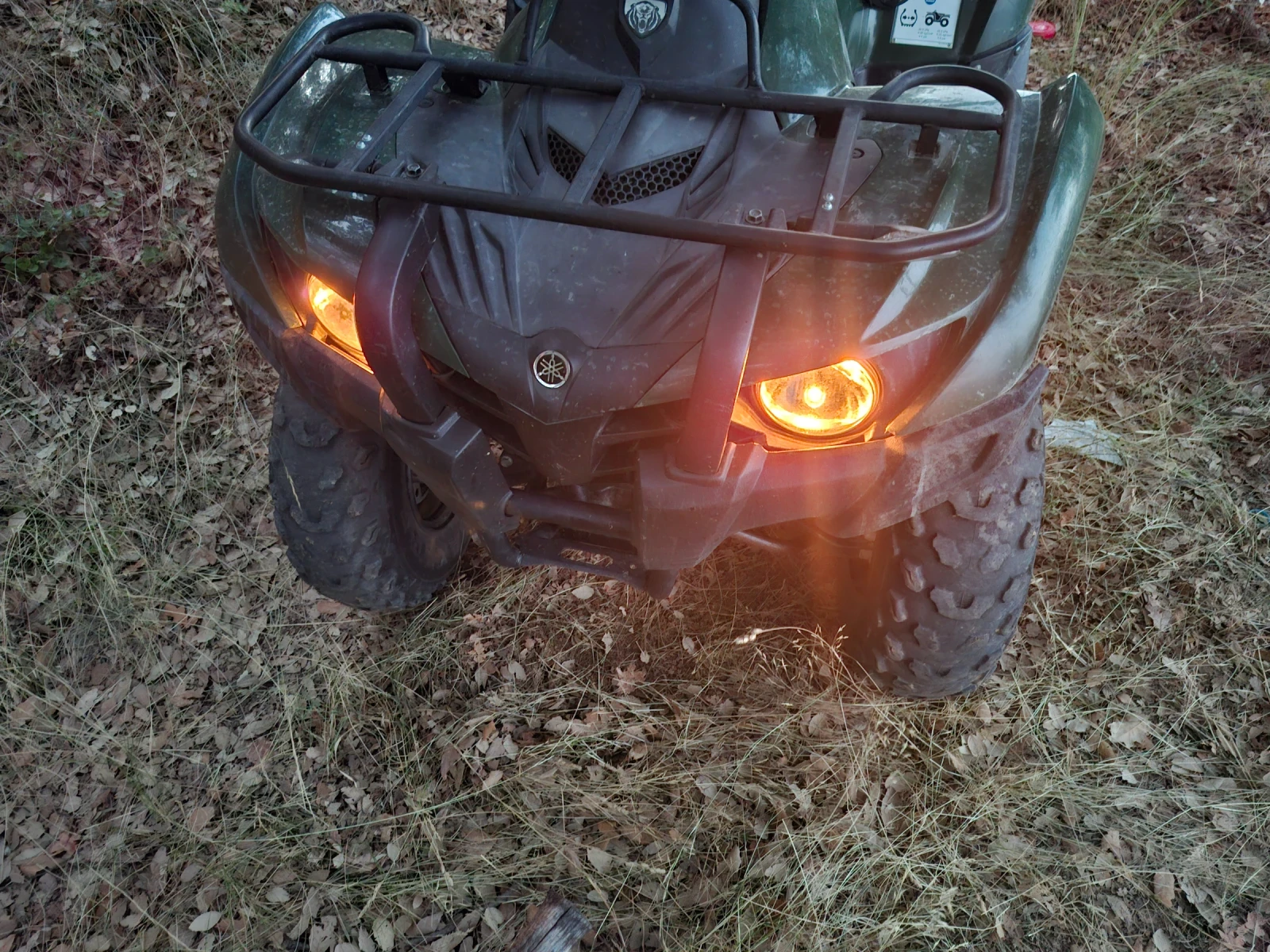 Yamaha Yfm  - изображение 2