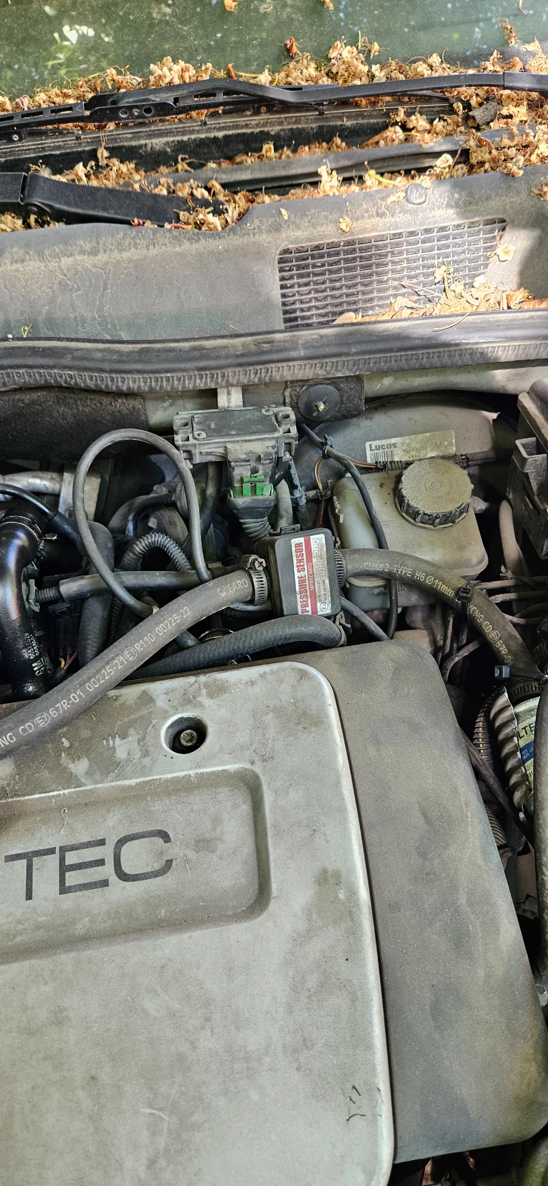 Opel Astra G, снимка 3 - Автомобили и джипове - 55157430